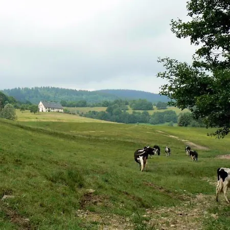 Les Pruniers - Orbey