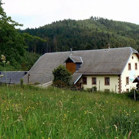 Les Pruniers - * Orbey